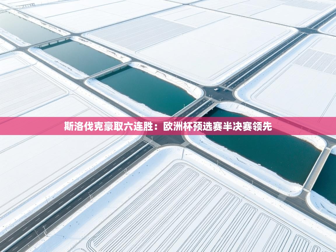 斯洛伐克豪取六连胜：欧洲杯预选赛半决赛领先