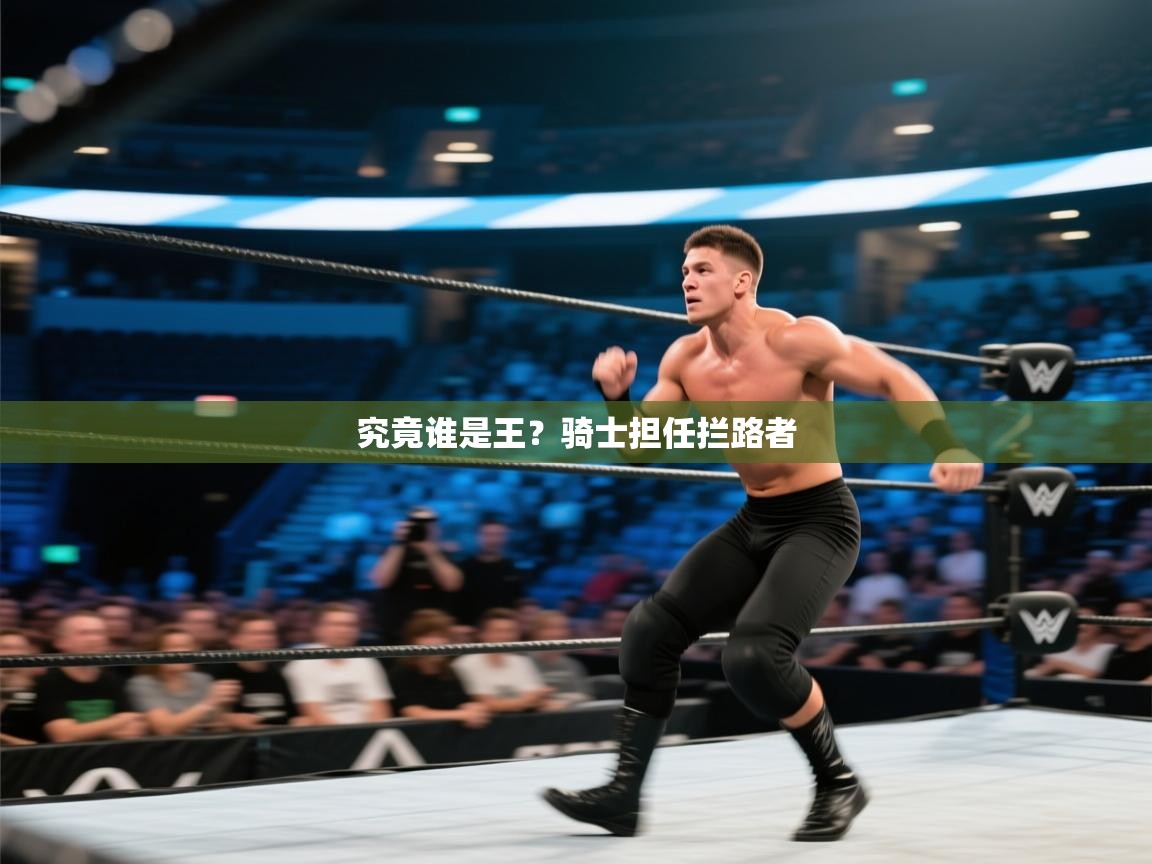 究竟谁是王？骑士担任拦路者