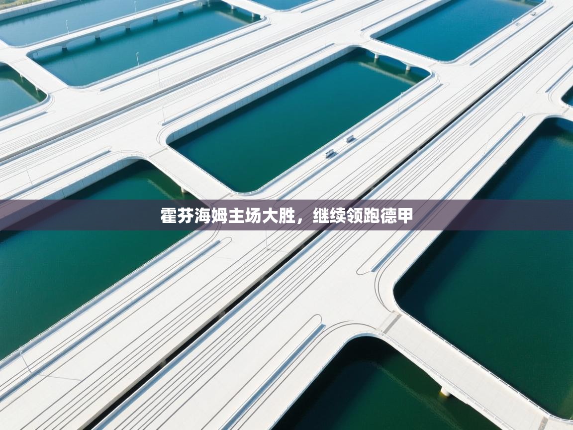 霍芬海姆主场大胜，继续领跑德甲  第2张