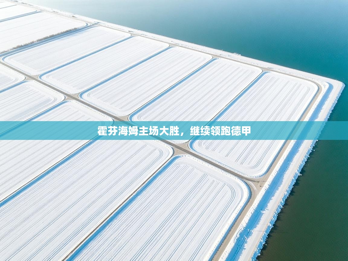 霍芬海姆主场大胜，继续领跑德甲