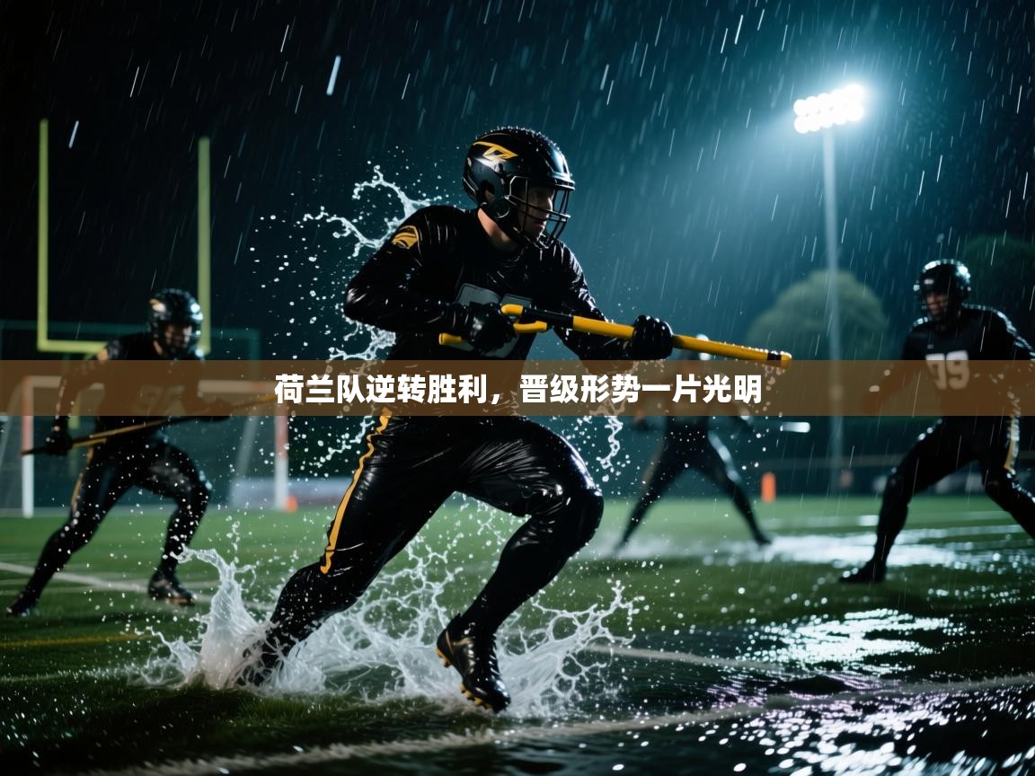 荷兰队逆转胜利，晋级形势一片光明  第1张